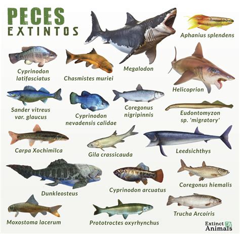 peces extintos